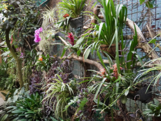 Berkenhof 's Tropical Zoo
