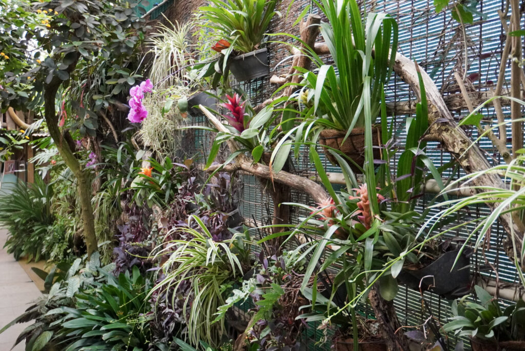 Berkenhof 's Tropical Zoo