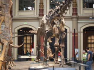 Naturkundemuseum Berlin