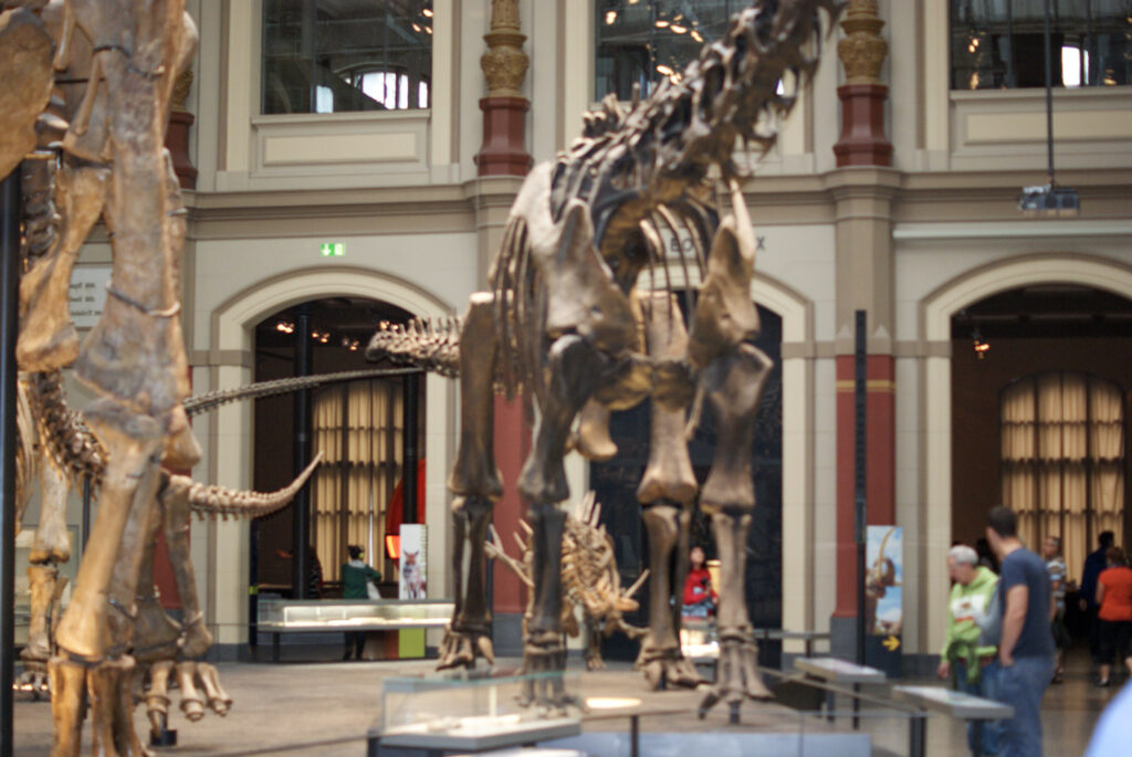 Naturkundemuseum Berlin