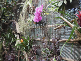 Berkenhof 's Tropical Zoo