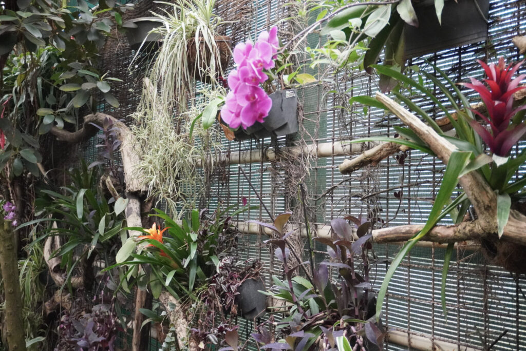 Berkenhof 's Tropical Zoo