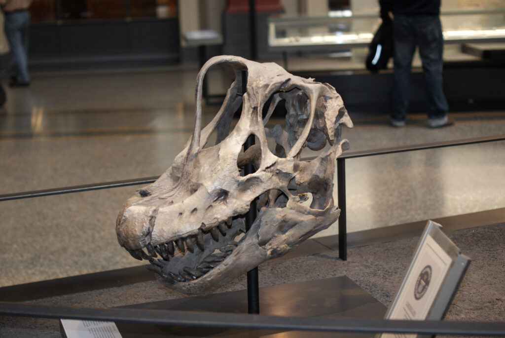 Naturkundemuseum Berlin