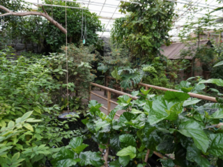 Berkenhof 's Tropical Zoo
