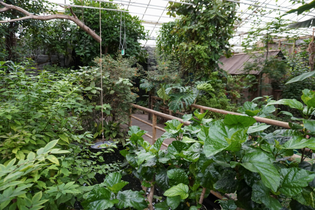 Berkenhof 's Tropical Zoo