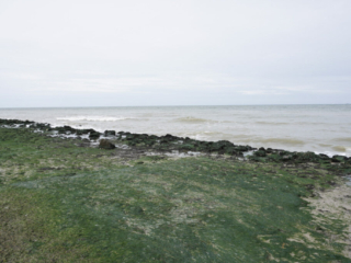 Zeeland Zeeland