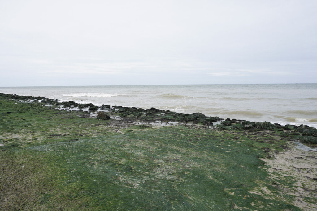 Zeeland