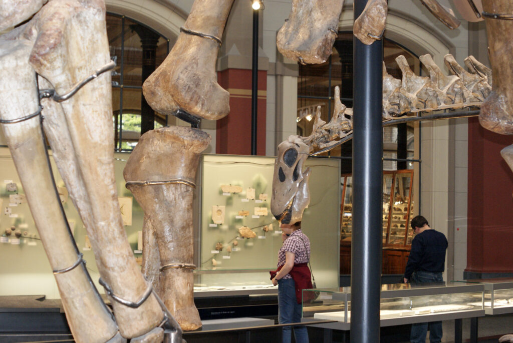 Naturkundemuseum Berlin