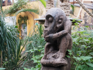 Berkenhof 's Tropical Zoo