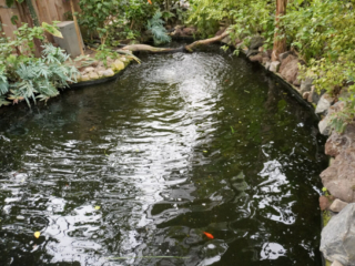 Berkenhof 's Tropical Zoo