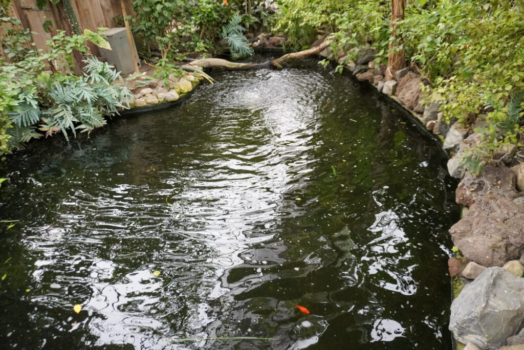 Berkenhof 's Tropical Zoo