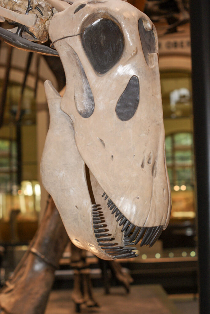 Naturkundemuseum Berlin