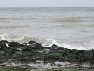 Zeeland Zeeland