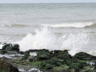 Zeeland Zeeland
