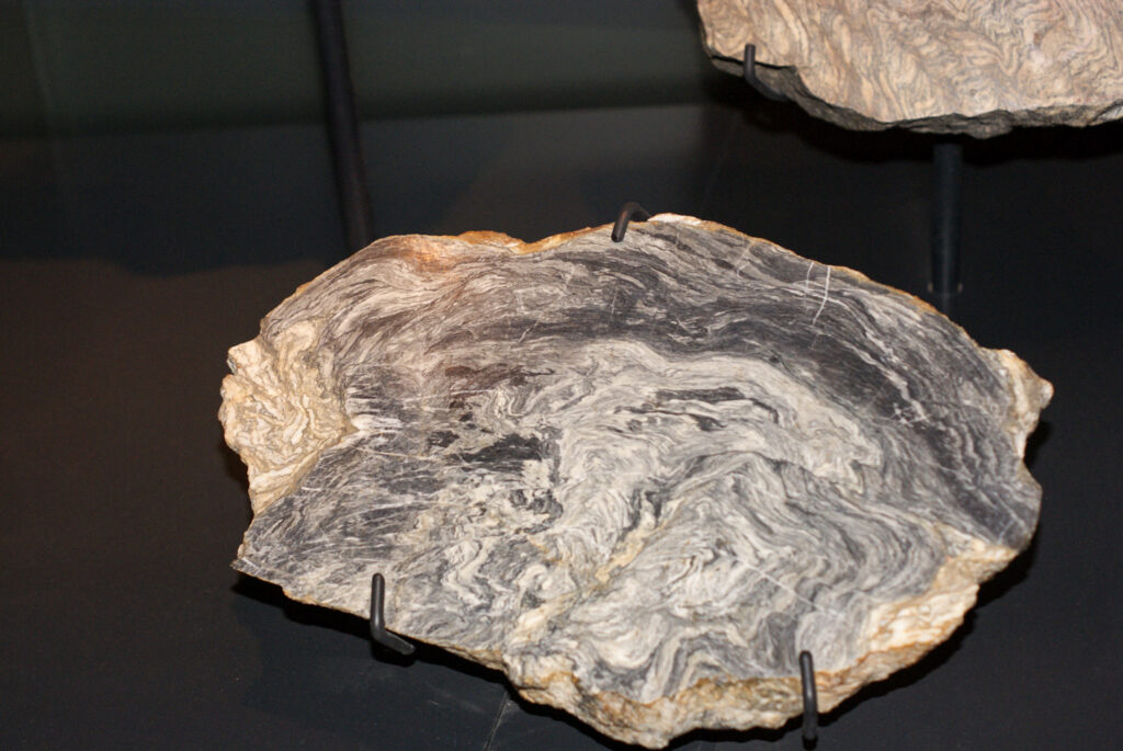 Naturkundemuseum Berlin