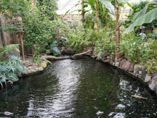 Berkenhof 's Tropical Zoo