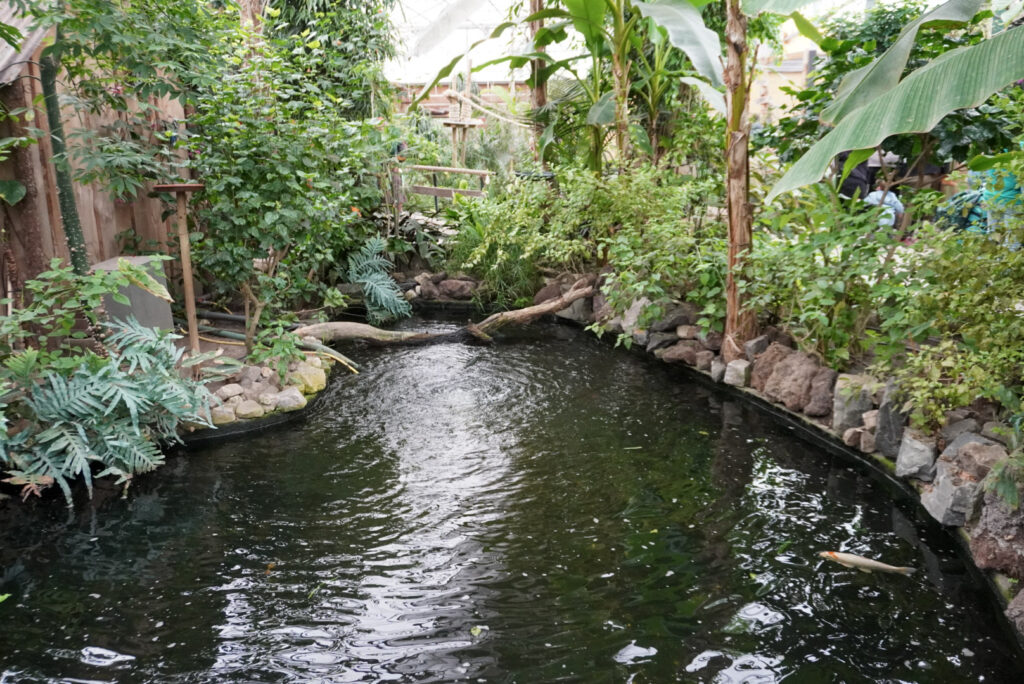 Berkenhof 's Tropical Zoo