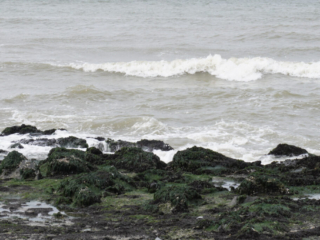 Zeeland Zeeland