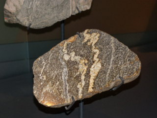 Naturkundemuseum Berlin