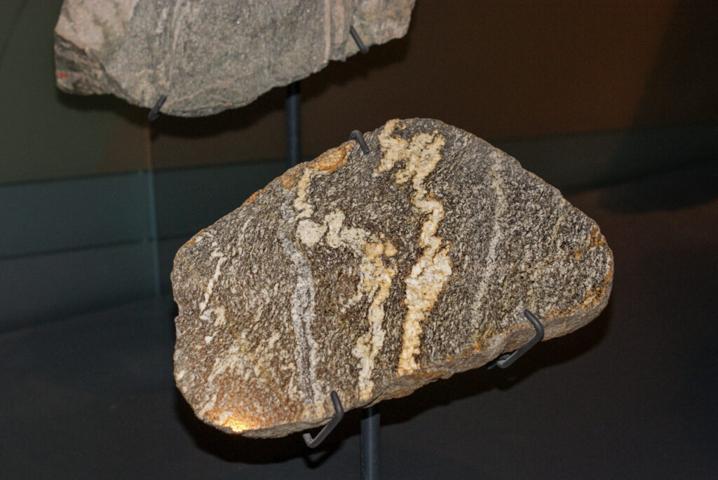 Naturkundemuseum Berlin