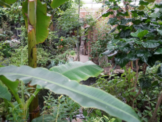 Berkenhof 's Tropical Zoo