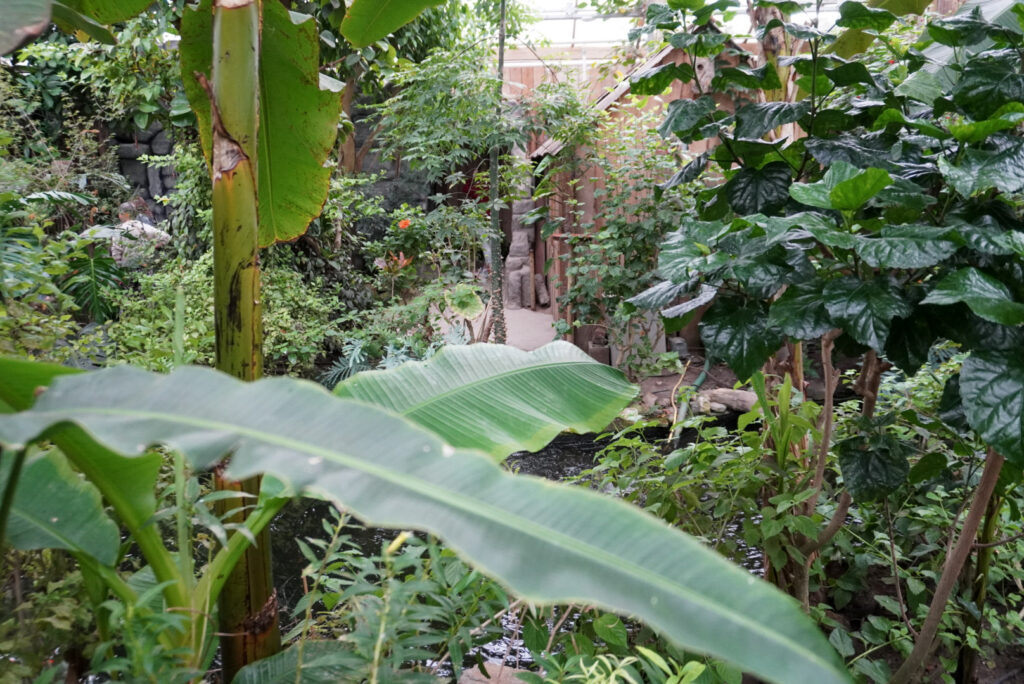 Berkenhof 's Tropical Zoo
