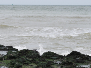 Zeeland Zeeland