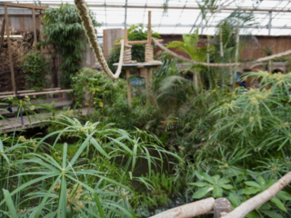 Berkenhof 's Tropical Zoo