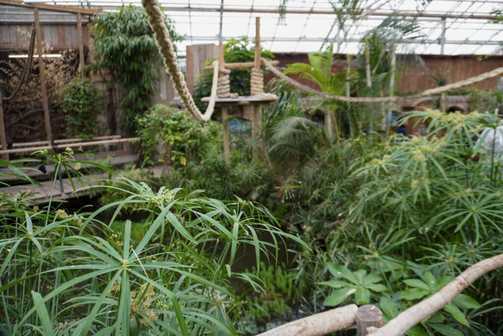 Berkenhof 's Tropical Zoo