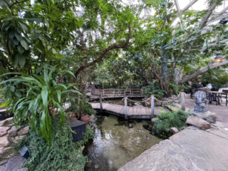 Center Parcs De Kempervennen
