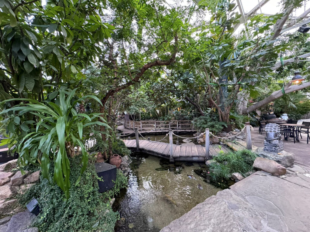 Center Parcs De Kempervennen