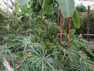 Berkenhof 's Tropical Zoo