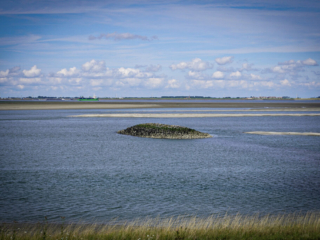 Zeeland Zeeland
