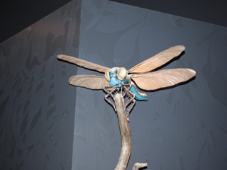 Naturkundemuseum Berlin