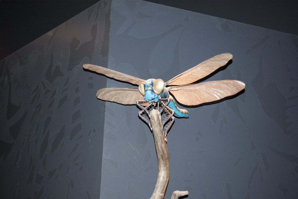 Naturkundemuseum Berlin