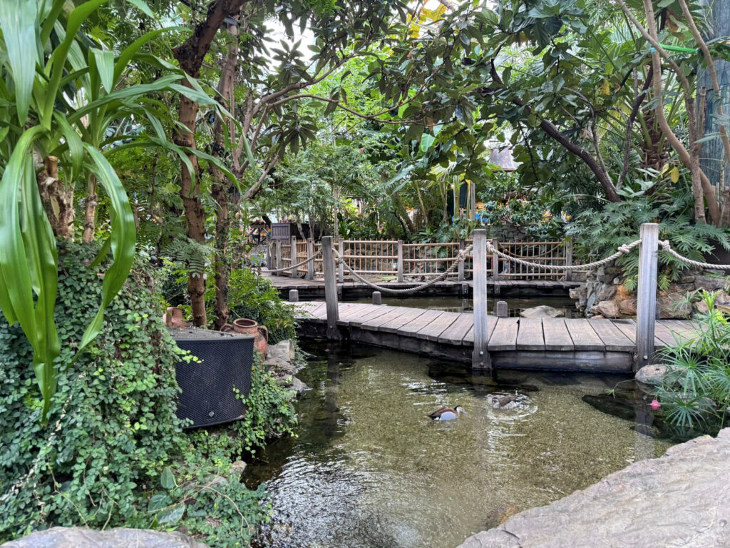 Center Parcs De Kempervennen