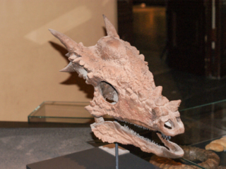 Naturkundemuseum Berlin