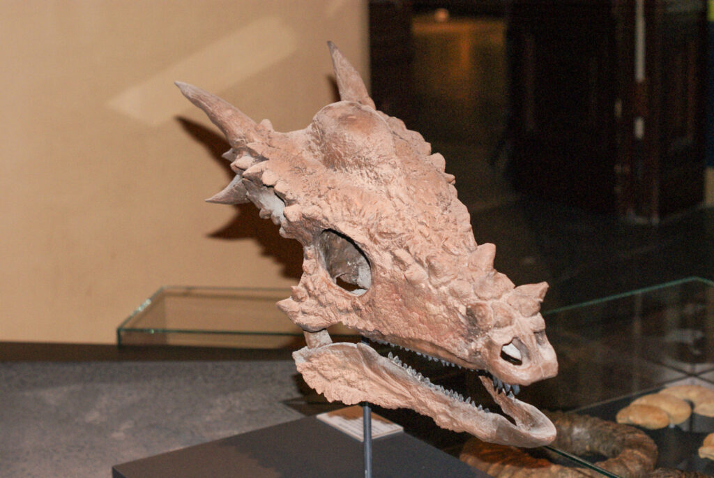 Naturkundemuseum Berlin