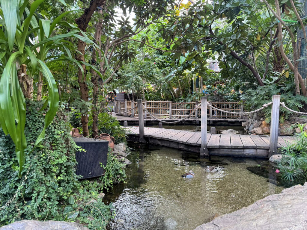 Center Parcs De Kempervennen