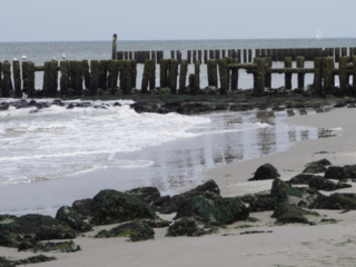 Zeeland Zeeland