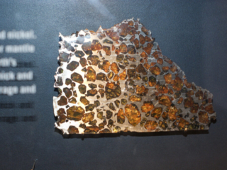 Naturkundemuseum Berlin