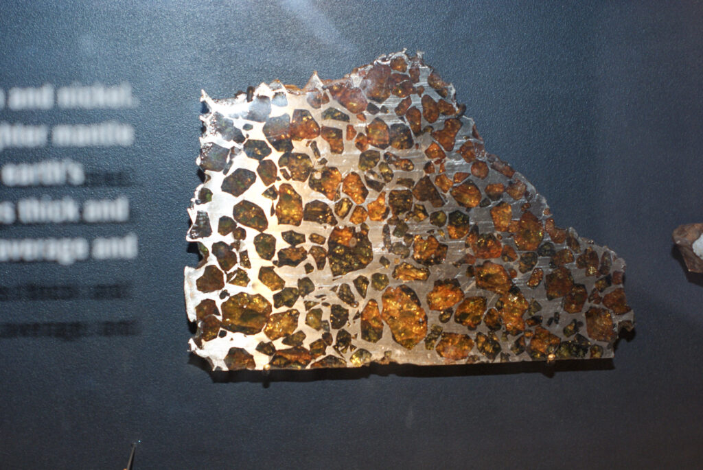 Naturkundemuseum Berlin