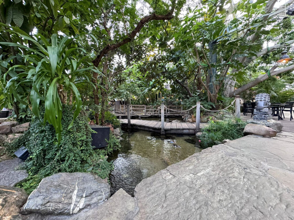 Center Parcs De Kempervennen