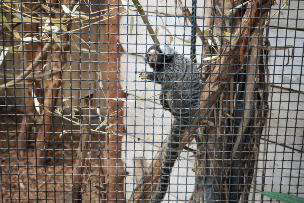 Berkenhof 's Tropical Zoo