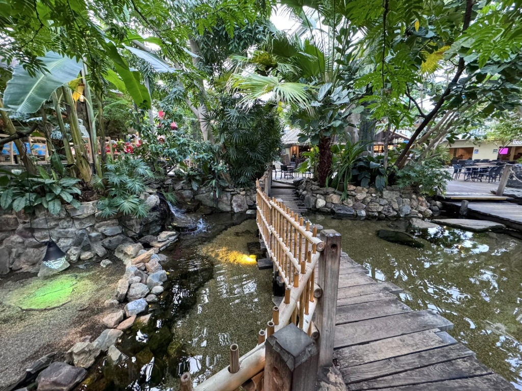 Center Parcs De Kempervennen