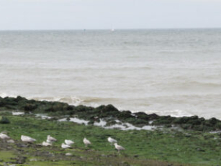 Zeeland Zeeland