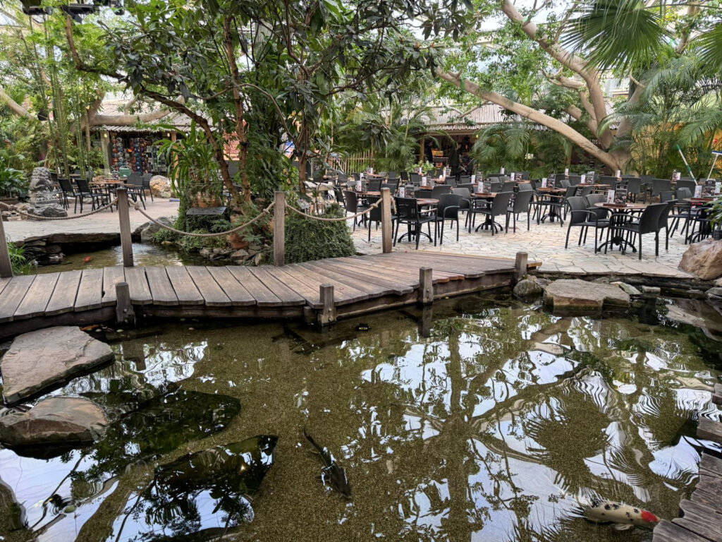 Center Parcs De Kempervennen