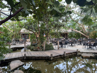 Center Parcs De Kempervennen