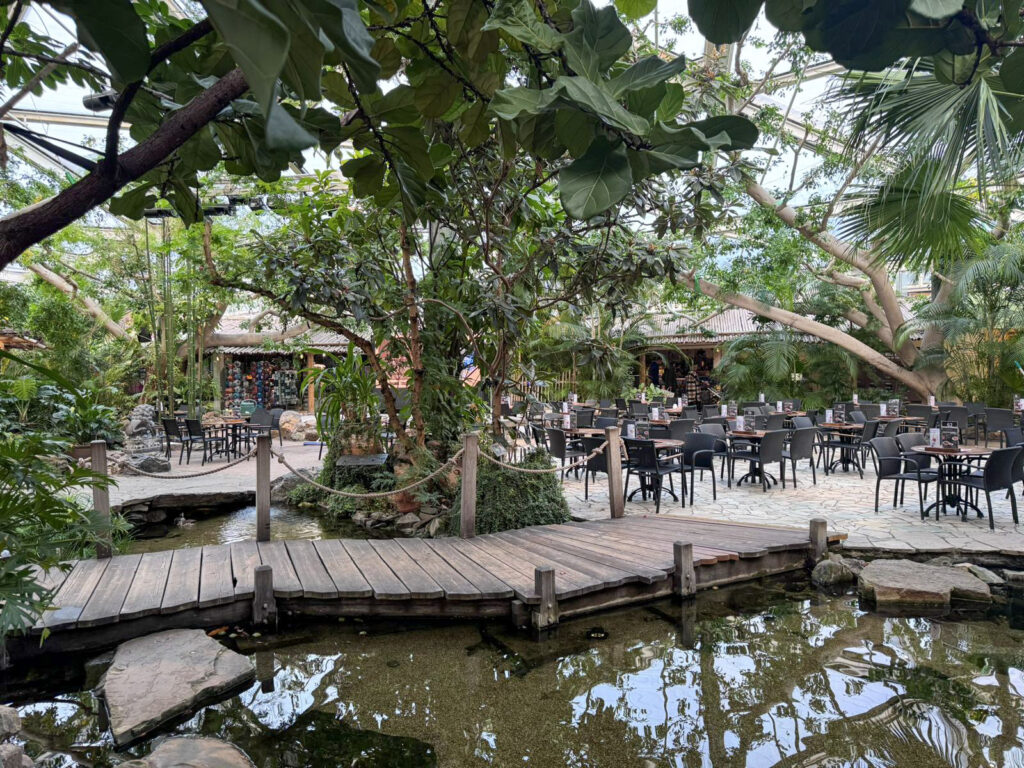 Center Parcs De Kempervennen