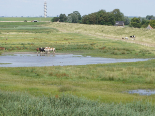 Zeeland Zeeland